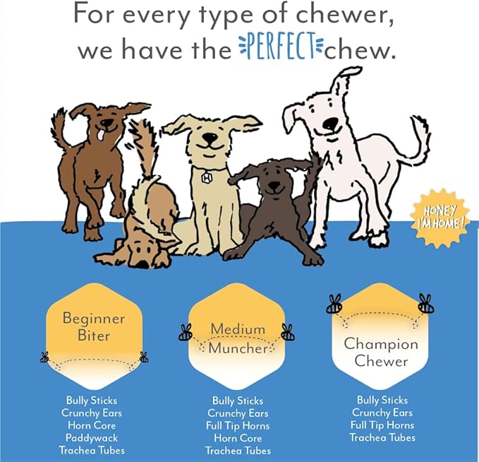 Honey I'm Home, Bully Sticks Buffalo Dog Chews, 6 Inches, 5 Pieces - All Natural, Free Range, Healthy, Grain Free, Honey Coated & Crispy