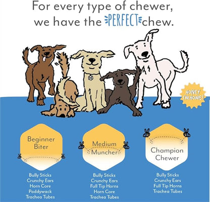 Honey I'm Home, Bully Sticks Buffalo Dog Chews, 6 Inches, 5 Pieces - All Natural, Free Range, Healthy, Grain Free, Honey Coated & Crispy