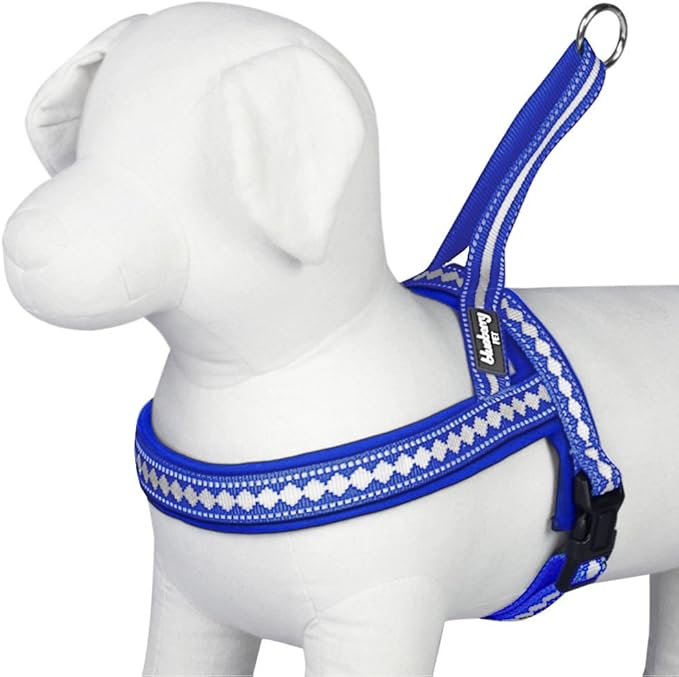 Blueberry Pet 4 Colors Soft & Comfy 3M Reflective Jacquard Padded Dog Harness, Chest Girth 21.5" - 27.5", Palace Blue, S/M, Adjustable Harnesses for Dogs