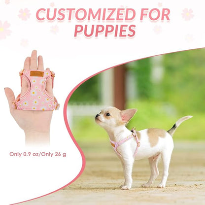 Lukovee Puppy Harness and Leash Set, No Pull Lightweight Soft Suede Adjustable Pet Harness Vest with Snap Buckle for Puppy Small and Medium Size Dog (PI-M)