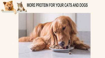 Freeze Dried Two-Pack Bundle Beef Liver and Chicken Breast Dog & Cat Treats Food Topper Ideal for Training, Easy to Digest for Sensitive Pets (2 Packs) (2.0 oz Each, Beef Liver and Chicken)