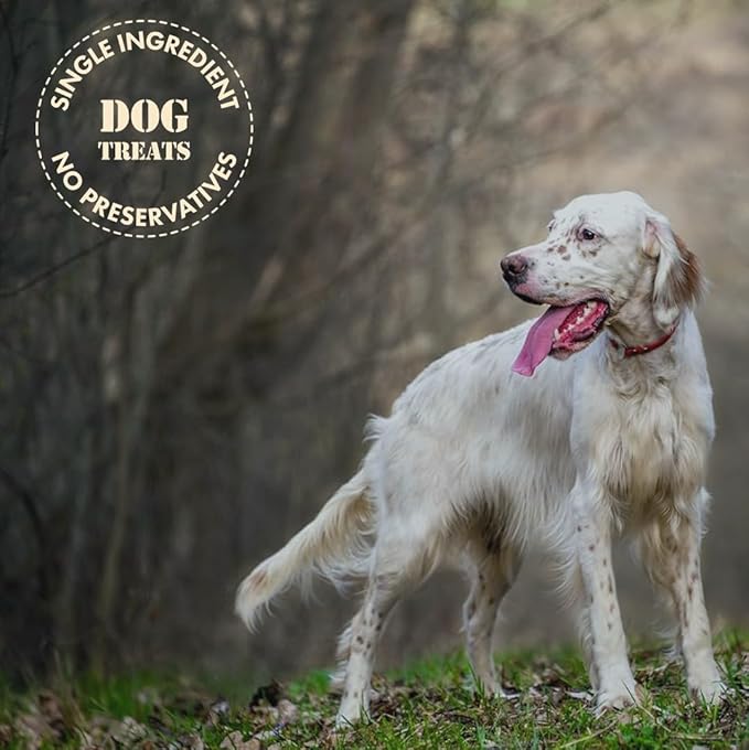MVPChews | Freeze Dried Beef Liver Dog Treats | Single Ingredient Training Treats | High Protein, Grain Free, No Additives or Fillers | Premium Quality Food Topper | Made in USA - 3.5oz