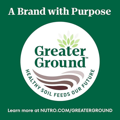 Nutro Crunchy Dog Treats with Real Peanut Butter, Training Treats for Dogs, 16 oz. Bag