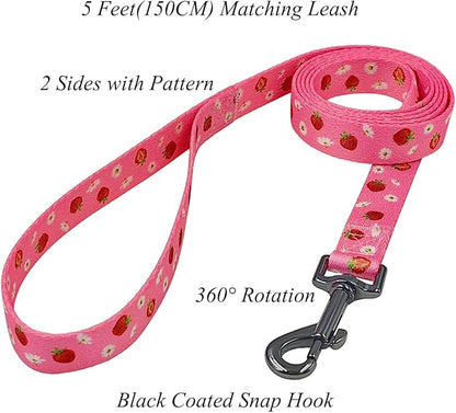 Dog Collar Leash Set, Floral Pattern, Polyester Material, Adjustable Collar and 5ft Matchcing Leash, for Medium Dogs.(M,Daisy and Strawberry)