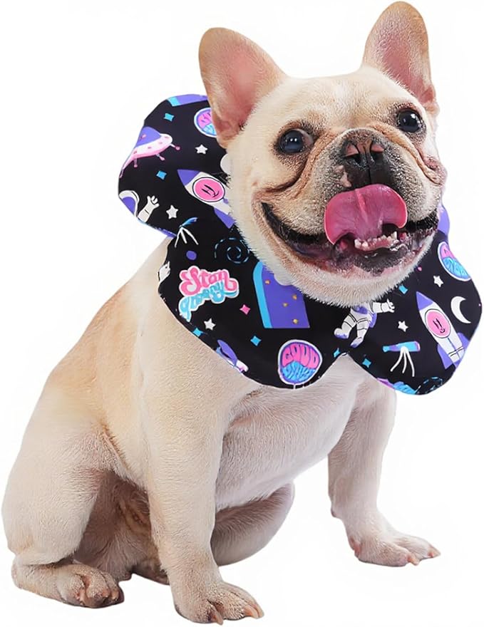 PetWarm Dog Recovery Collar, Recovery Collar for Dogs, Lightweight Soft Flower Design, Comfortable Neck Protector Helps Discourage Licking, Post-Visit Protective Collars, Cosmic Print, Purple, S