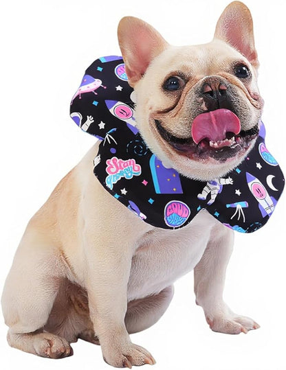 PetWarm Dog Recovery Collar, Recovery Collar for Dogs, Lightweight Soft Flower Design, Comfortable Neck Protector Helps Discourage Licking, Post-Visit Protective Collars, Cosmic Print, Purple, S