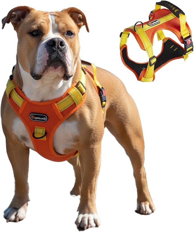 Tactical Dog Harness for Large Medium Dogs No Pull Adjustable Pet Vest with Reflective Straps Front & Back Clips Handle for Hiking Walking Hunting– 4 Sizes with or Without Leash (Orange, XL)