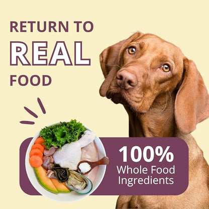 Steve's Real Food Freeze-Dried Raw Nuggets - Chicken Recipe - Raw Pet Food for Dogs and Cats - 20 oz