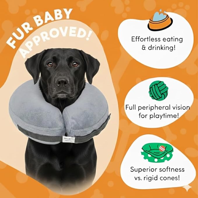 PAWRELIEF Soft Inflatable Dog Cat Cone Collar – Pet Recovery & Protective Dog Neck Collar for Large Dogs Cats to Prevent Scratching, Licking (Gray, Large)