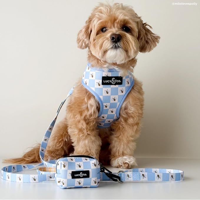 Lucy & Co. Bumbling Around Dog Leash, Durable Matching Dog Lead with Heavy Duty Hardware, Small