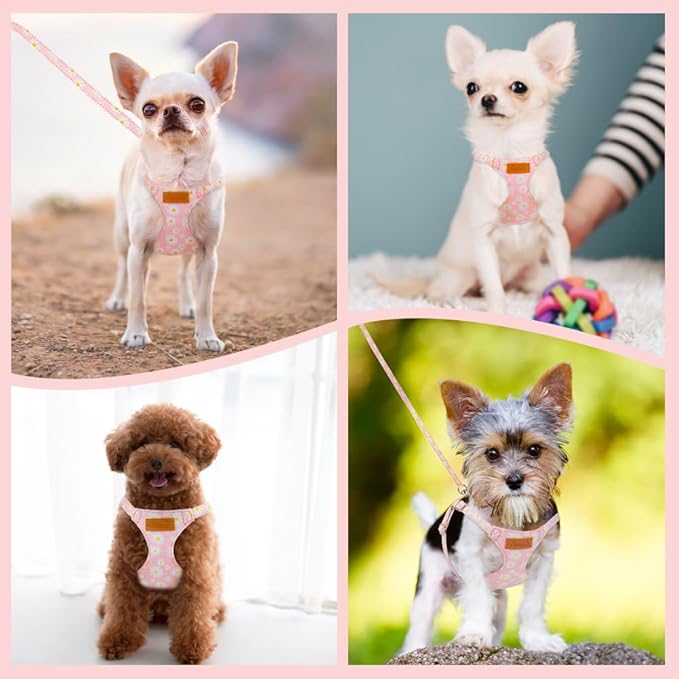Lukovee Puppy Harness and Leash Set, No Pull Lightweight Soft Suede Adjustable Pet Harness Vest with Snap Buckle for Puppy Small and Medium Size Dog (PI-M)