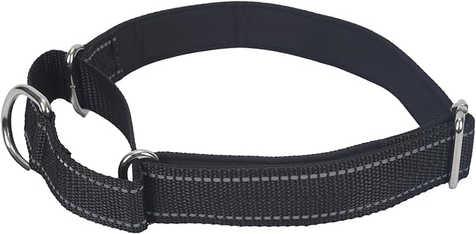 SGODA Martingale Dog Collar, Reflective Nylon Padded Dog Training Collars for Small Dogs, Black S