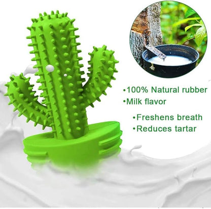 Pamlulu Dog Chew Toys, Toothbrush Stick Teeth Cleaning Brush Dental for Small Medium Large Dog, Rubber Squeaky Toys for Aggressive Chewers Cactus Tough Toys
