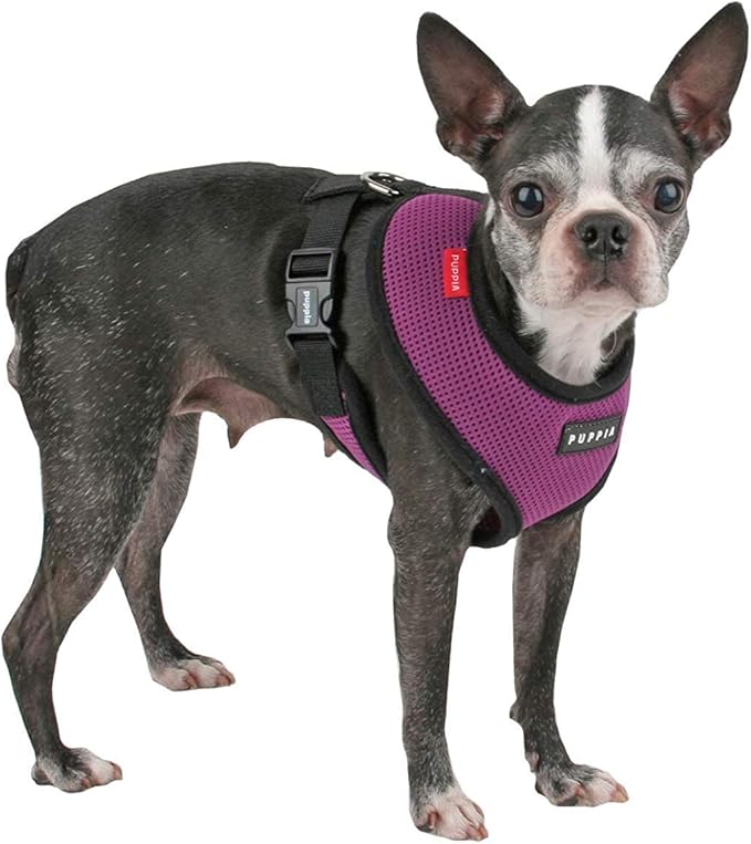 Puppia Soft Dog Harness No Choke Over-The-Head Triple Layered Breathable Mesh Adjustable Chest Belt and Quick-Release Buckle, Purple, Medium