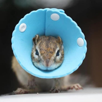 Squirrel Elizabeth Collar, Sugar Glider Protection Cone Neck Recovery Collar, Elizabeth Anti-Water Cone for Small Animals, Soft Pet Neck Cone for Squirrel (for Eurasian Red/Russian Red Tree Squirrel)