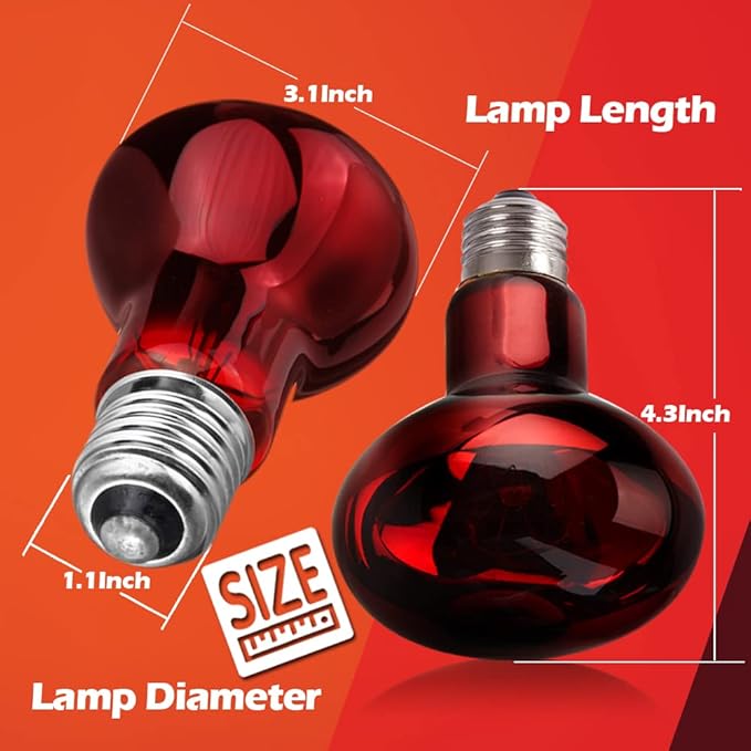2 Pack 50w Reptile Heat Lamp Bulb Infrared Basking Spot Heat Lamp for Reptiles & Bearded Dragon Amphibian, Chicks, Dog Heating Use with Stick-on Digital Temperature Thermometer