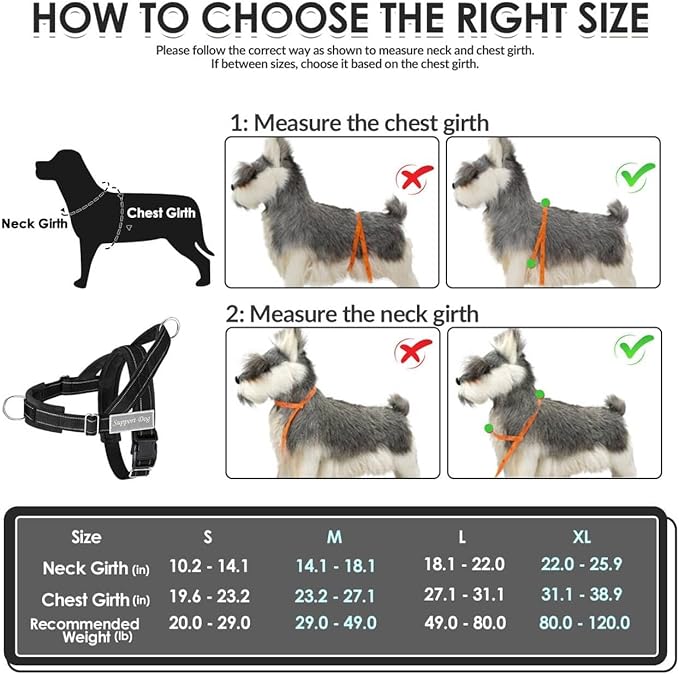 SlowTon No Pull Dog Harness - Heavy Duty Dog Harness and Leash Set for Medium Large Dogs, Reflective Tactical Harness with Soft Padded and Front Clip for Easy Walk and Training (B, XL)