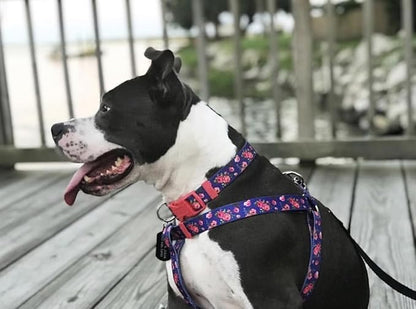 Blueberry Pet 7 Patterns Spring Scent Inspired Rose Print Irish Blue Adjustable Dog Collar, X-Small, Neck 8"-11"