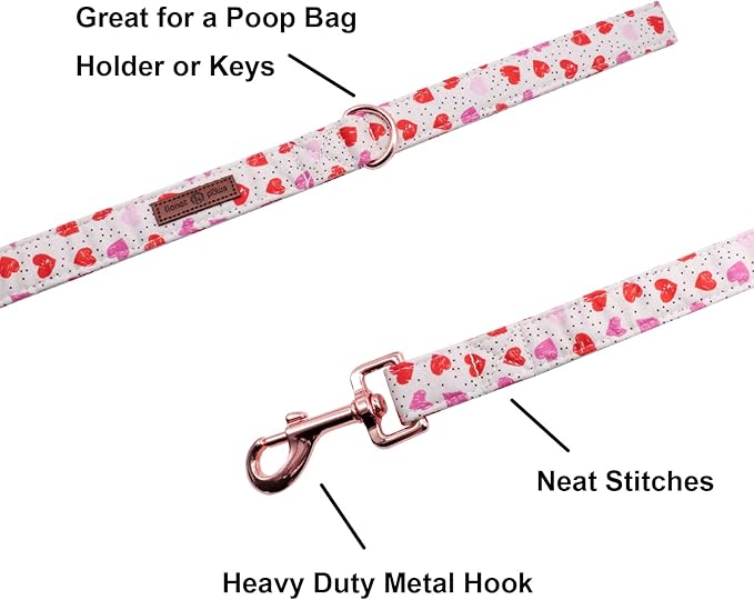 Lionet Paws Valentine's Day Leash Matching Collar for Small Medium Large Dogs