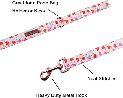 Lionet Paws Valentine's Day Leash Matching Collar for Small Medium Large Dogs