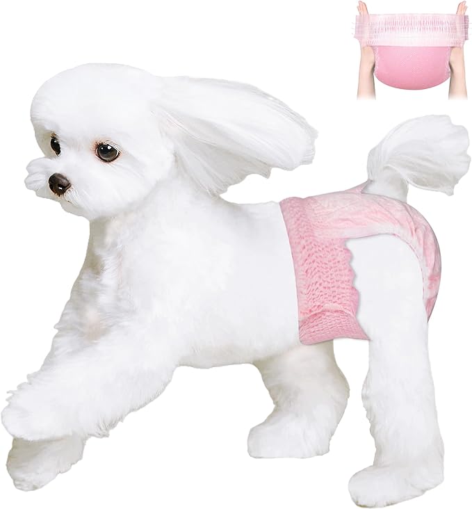 Ambreview Disposable Dog Diapers Female, Just Pull It Up, Doggie Diapers for Female Dogs, Strong Absorbency | Leak Proof, for Dogs in Heat | Elderly | Disabled, M 10 PCS