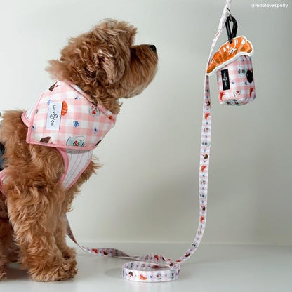 Lucy & Co. Sipping Slowly Dog Leash, Durable Matching Dog Lead with Heavy Duty Hardware, Large