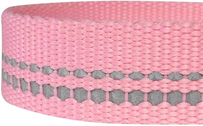 Blueberry Pet 3M Reflective Pastel Color Dog Leash with Soft & Comfortable Handle, 4 ft x 1", Baby Pink, Large, Leashes for Dogs