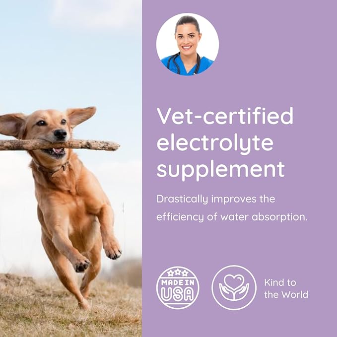 Dog Electrolytes and Joint Supplement | Hydration Support for Dogs w/Glucosamine, Chondroitin & More | Electrolytes for Dogs with Prebiotics | Unflavored | 32 Packets