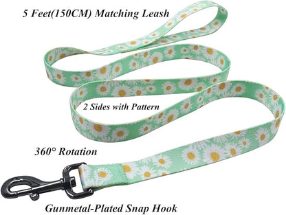 Dog Collar Leash Set, Floral Pattern, Polyester Material, Adjustable Collar and 5ft Matchcing Leash, for Medium Dogs.(M, Light Green Daisy)