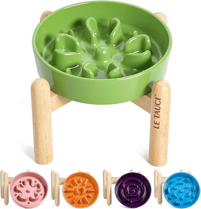 LE TAUCI Ceramic Slow Feed Dog Bowls, Elevated for Small Breeds, Anti-Gulping, Non-Slip, 6 inch, Green