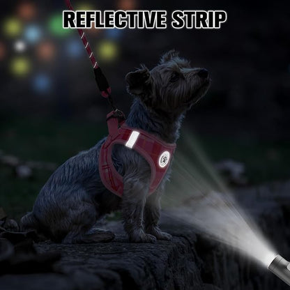 BEAUTYZOO Small Dog Harness and Leash Set, Step in No Choke No Pull Soft Mesh Dog Harnesses Reflective for Small Medium Puppy Dogs and Cats, Plaid Dog Vest Harness for S M Pets, Light Pink M