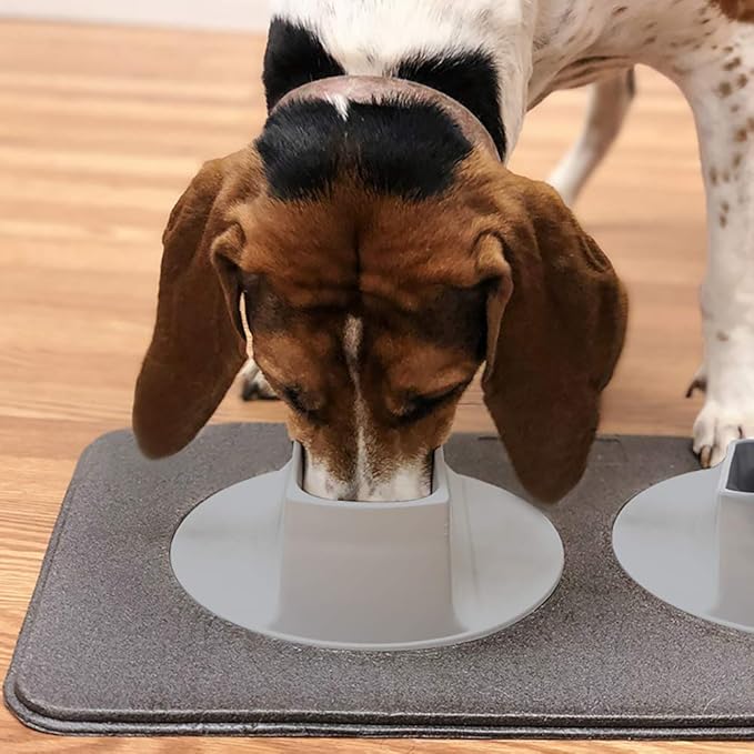 Ear Clear Dog Bowl and Mat Set, No Spill Food and Water Bowls with Mat, Perfect Feeding Tray Set for Long Eared Dog or Breeds, No Mess Dog Bowl 36 oz Feeder Bowl Set, Hounds, Cocker Spaniels, Setters