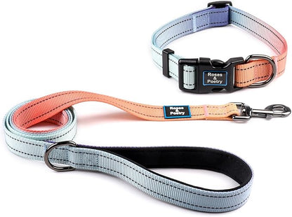 Roses&Poetry Reflective Small Dog Collar and Leash Set, Puppy Leashes with Collars, Adjustable Durable Matching Nylon Pet Collar Leash for Walking,Playing,Training (Azure-XS)