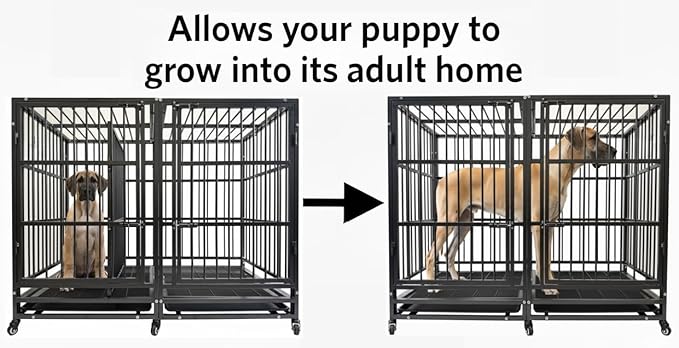 BOLDBONE 54 inch Heavy Duty Indestructible and Escape-Proof Dog Crate Cage Kennel with Divider for 2 Large Dogs, High Anxiety Dog Crate with Removable Wires Trays and Wheels, Extra Large XL XXL