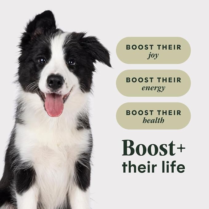 Instinct RawBoost Puppy, Natural Dry Dog Food with FreshDried Raw, Whole Grain Recipe - Real Chicken & Brown Rice, 3.5 lb. Bag