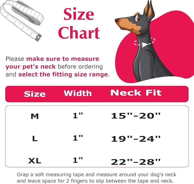 Dog Collar Chain，Stainless Steel Chain Martingale Collar for Dogs, No Pull Slip Cinch Choker Choke Heavy Duty Dog Collar