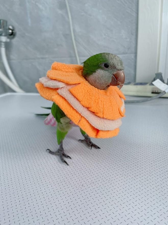 Adjustable Parrot Cone Collar, Safe and Practical Cotton Collar to Prevent Bites and Licking Wounds, to Help heal (XL)