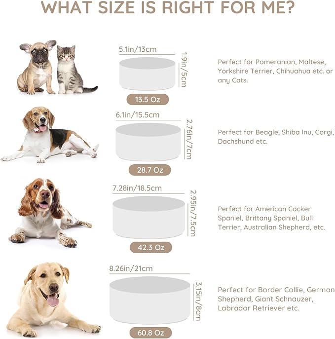 SPUNKYJUNKY 13.5OZ Ceramic Dog and Cat Bowl, Modern Cute Weighted Food Water Bowl for Replacement White (2 Pack)