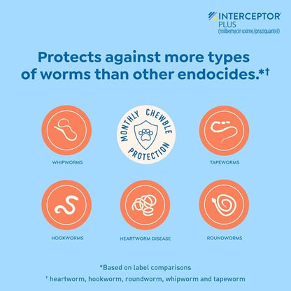Interceptor Plus Prevention for Heartworm + 4 Other Worms for Dogs 2-8 lbs. | 1 Chew, 1-Month Supply