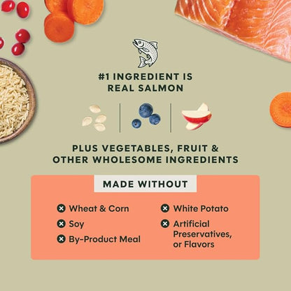 Instinct RawBoost, Natural Dry Dog Food with FreshDried Raw, Whole Grain Recipe - Real Salmon & Brown Rice, 19 lb. Bag