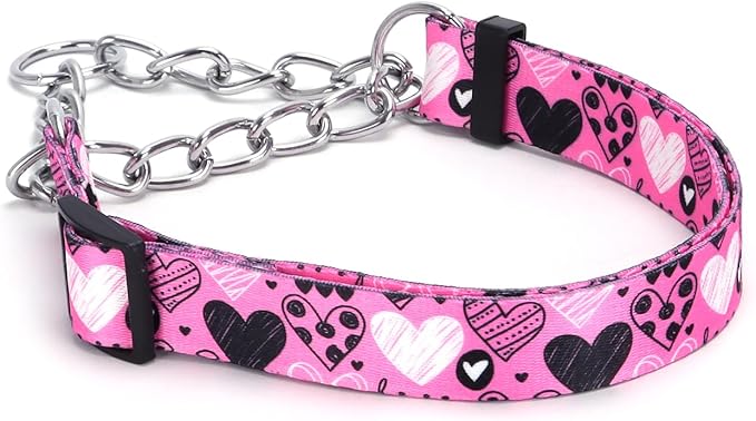 Martingale Dog Collar with Stainless Steel Chain - Limited Chain Cinch Training Collar for No Pull Training Dog - Flower Multicolor Cute Patterns - Premium No Slip Collar (HA12NO21, M)