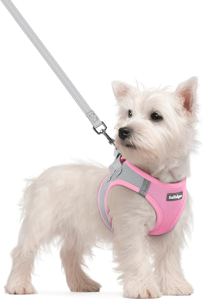 rabbitgoo Dog Harness Small Sized and Leash Set, Step in Soft Light Puppy Vest, Breathable Mesh Pet Harness, Reflective for Safe Easy Walking, Pink & Gray S