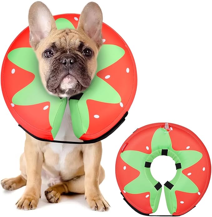 MIDOG Soft Inflatable Dog Cone,Donut E-Collar Alternative for After Surgery, Prevents Licking,Allowing Normal Eating & Vision,Comfortable Recovery Collar for Small Medium Large Dogs&Cats,Strawberry-M+