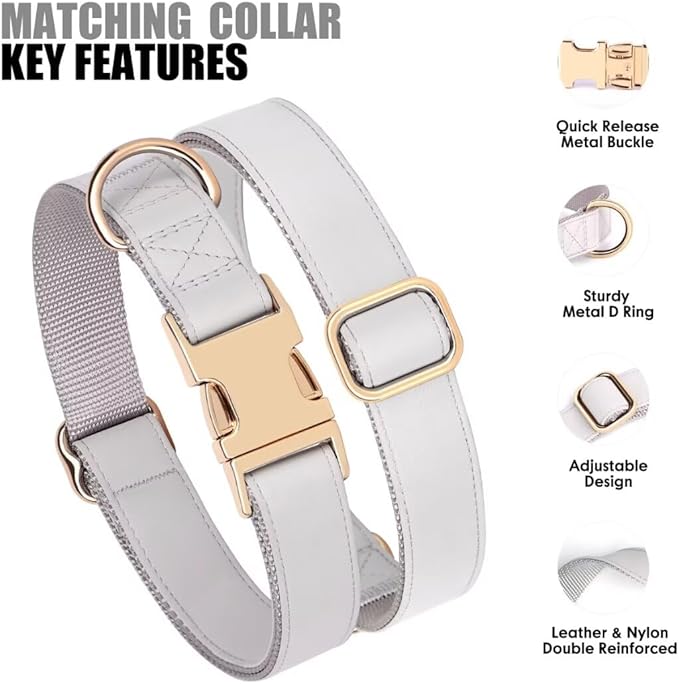 PET ARTIST Soft PU Leather Dog Collar and Leash Set, Bright & Stylish 5FT PU Leather Leash and Collar Set, Durable Pet Collars with Quick Release Metal Buckle for Medium Dogs,Gray,M(13-19")