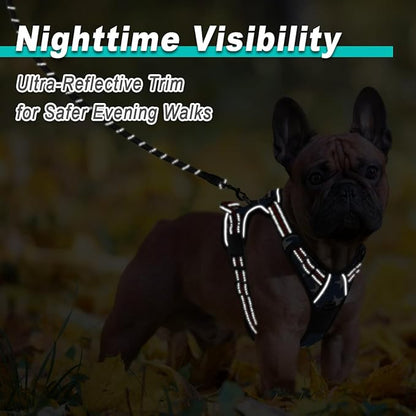 BARKBAY Dog Harness No Pull Mesh for Small Dogs - Adjustable, Reflective, Comfortable, No Choke, Heavy-Duty - Perfect for Outdoor Training, Walking, and Hiking - Strong & Durable- XS & Blue Star Mesh