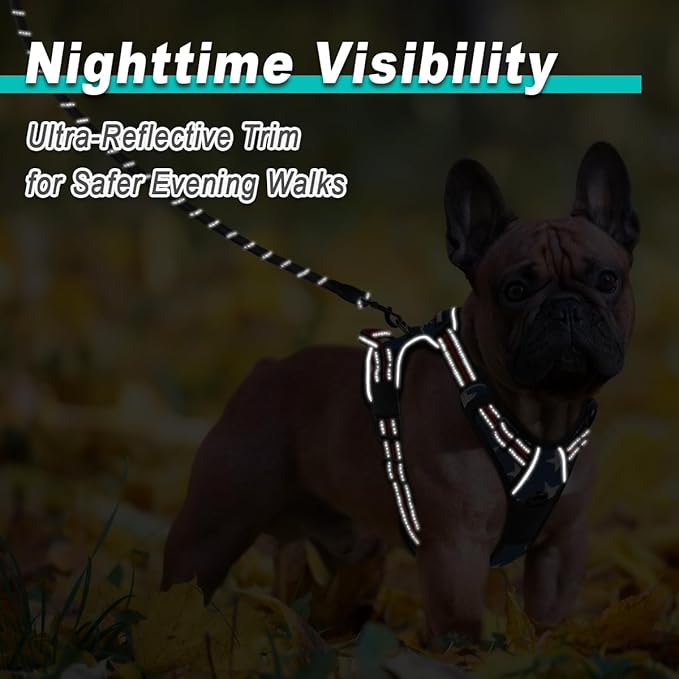 BARKBAY Dog Harness No Pull Mesh for Small Dogs - Adjustable, Reflective, Comfortable, No Choke, Heavy-Duty - Perfect for Outdoor Training, Walking, and Hiking - Strong & Durable - S & Blue Star Mesh