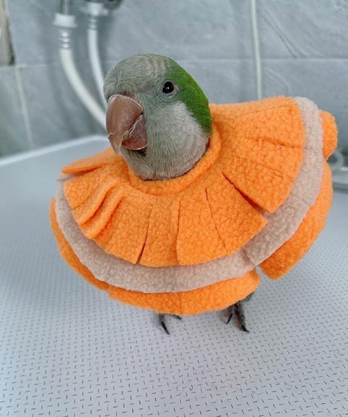 Adjustable Parrot Cone Collar, Safe and Practical Cotton Collar to Prevent Bites and Licking Wounds, to Help heal (2XL)