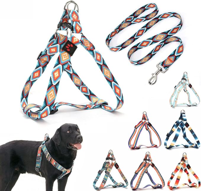 Dog Harness and Leash Set, Pretty Pattern No-Pull Pet Halter Puppy Vest Outdoor Easy Walk for Small Medium Large Breed Pug Bully Mastiff Dogs Female Male, Boho XL