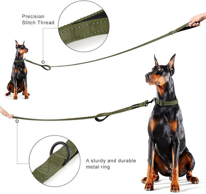 Plutus Pet Double Handle Dog Leash 6ft, Heavy Duty, Reflective Dual Handle Dog Leash for Safety Training, for Medium Large Dogs,2 Handle Leads, Ranger Green