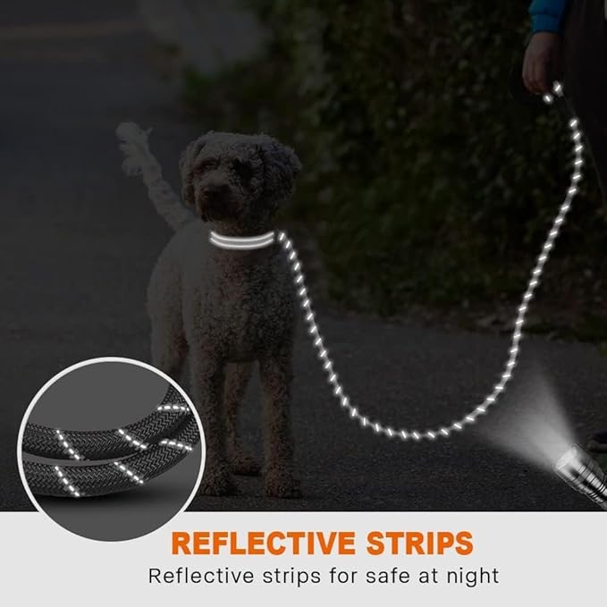 Taglory Rope Dog Leash 4 FT with Comfortable Padded Handle, Highly Reflective Threads Leash and Anti-Tangle Clip for Walking Small Dogs, 3/8 inch, Grey